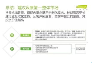 2019年中国教育信息化行业报告 信息技术咨询服务
